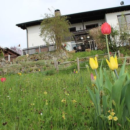 Apartmán Haus Koblizek Waldkirchen Exteriér fotografie